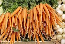 ВЕГЕТАРИАНСТВО ПЛЮС-МИНУС