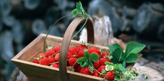 Чем может помоч земляника