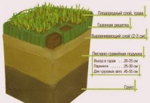 Газон сажаем сами