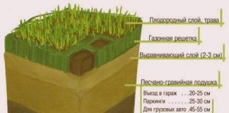 Газон сажаем сами