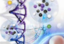 НАСЛЕДСТВЕННОСТЬ