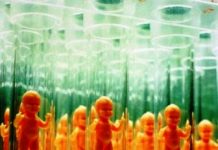 МАЛЬЧИК ИЛИ ДЕВОЧКА? КАЛЕНДАРЬ ЗАЧАТИЯ