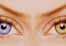 КОНТАКТНЫЕ ЛИНЗЫ