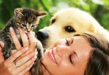 Животные в доме