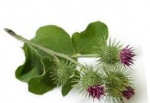 Репейное масло