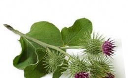 Репейное масло