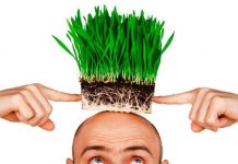 ОБЛЫСЕНИЕ, КОМУ ОНО УГРОЖАЕТ