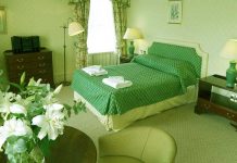 ЗЕЛЕНЫЙ ЦВЕТ ЖИЗНИ