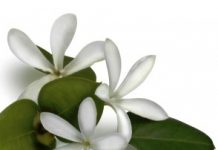 Маски для лица дома