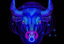 Дева и Телец — отношения между знаками, совместимость